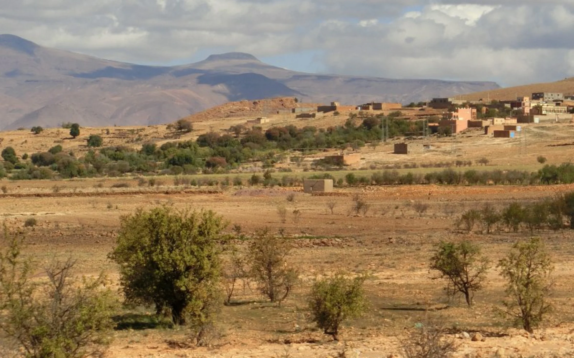 fOTO fRIEDA lUGGIN 4_800x533.JPG